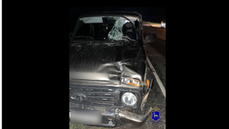 В Самарской области водитель Lada Niva насмерть сбил пешехода