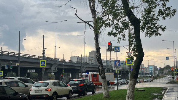 В Самаре объявлен оранжевый уровень опасности из-за заморозков