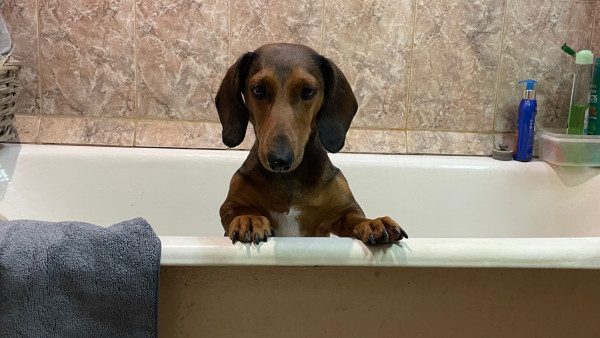 Жителям Самары 14 июня необходимо сделать запасы холодной воды