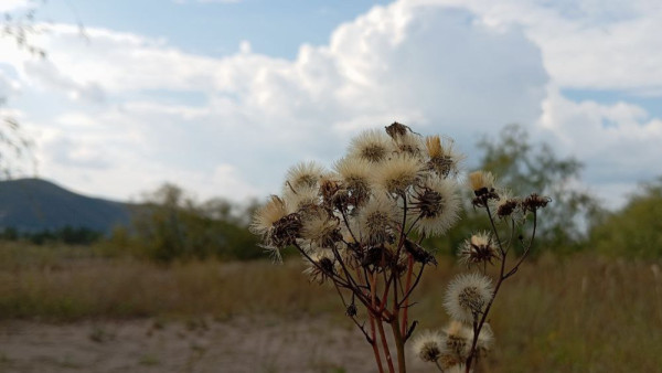 Народные приметы 30 июля 2025: кого запрещено ловить в день Евдокии, чтобы не нажить бед