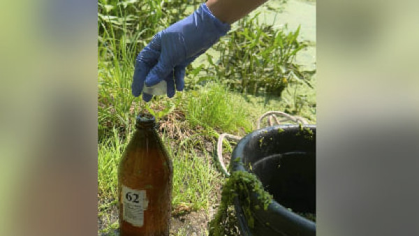 В реке Падовка обнаружены источники загрязнения: проводится расследование