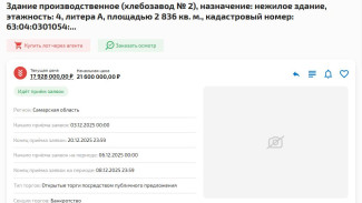 Под Самарой продают популярный хлебзавод за 17,9 млн рублей