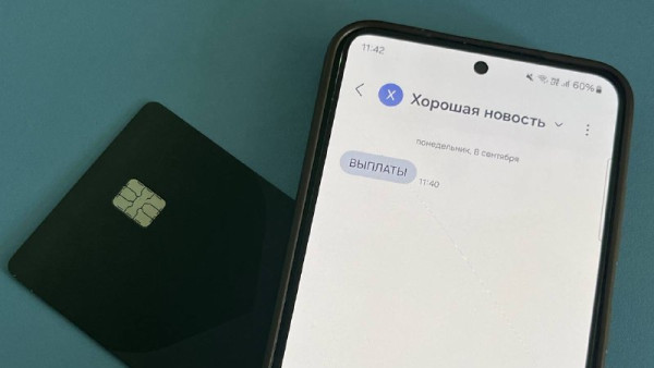 Стало известно, можно ли вернуть средства после общения с мошенниками, уповая на психические отклонения