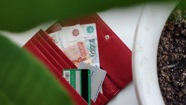 Крупные самарские компании выплатят мобилизованным сотрудникам по 100 тысяч рублей