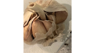 В Самарской области женщина принесла домой квартирантов в пакете