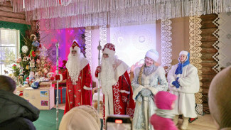 В Самаре через Новогоднюю резиденцию Деда Мороза прошли 19 тысяч гостей