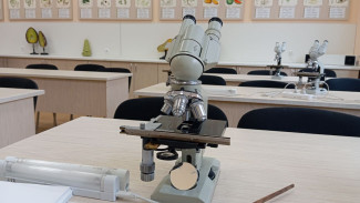 Многодетные семьи Самарской области получат 216 миллионов рублей на компенсацию за обучение