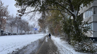 Конец ноября в Самарской области обещает быть преимущественно солнечным 