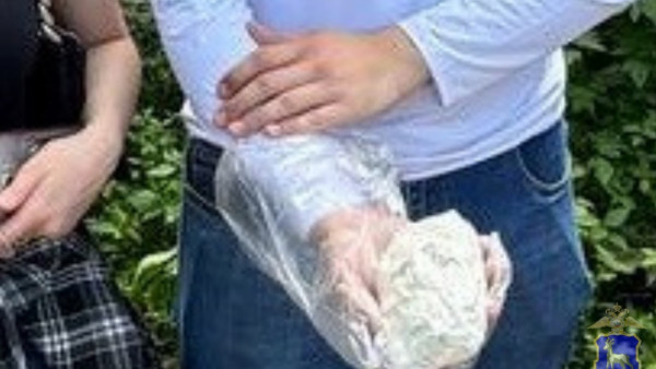 У 19-летней жительницы Самарской области изъяли 260 граммов криминальной соли