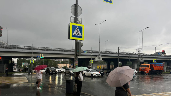 Самарская область готовится к освежающим ливням и грозам 14 августа