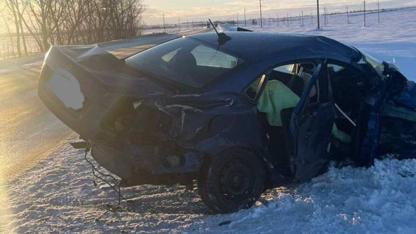 Полиция рассказала, сколько детей погибло в лобовом ДТП под Самарой