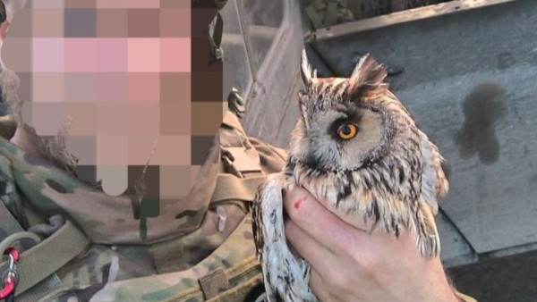 Сова помогла самарским военным провести операцию в зоне СВО