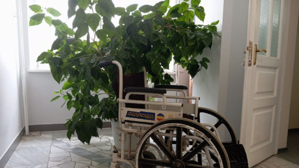 Самарцам рассказали о мерах поддержки для детей с инвалидностью в регионе