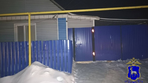 Пьяный конфликт парня с матерью закончился вызовом саперов по Самарой