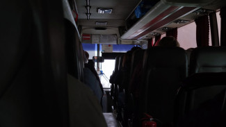 Бастрыкин затребовал доклад о жестоком избиении пенсионера в самарском автобусе