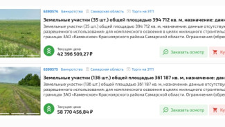 Под Самарой распродают 170 участков земли за 101 млн рублей
