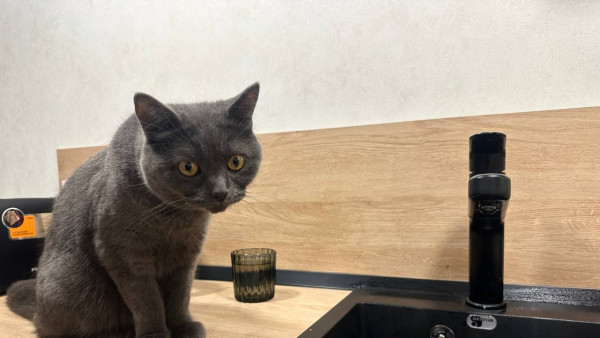 В Самаре на ряде улиц отключат холодную воду 21 и 22 января