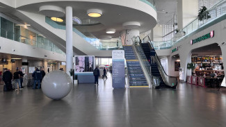 Цены на еду и напитки в Курумоче проверит прокуратура