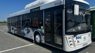 63.ру: как в Самаре появился пассажирский перевозчик «Ирбис» из Тулы