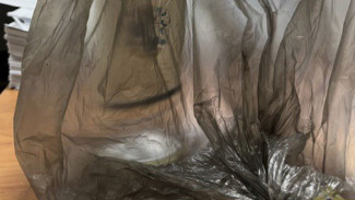  В Жигулёвске задержан грабитель