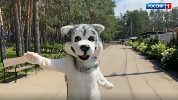 Стало известно, как разнообразить летние каникулы ребенка