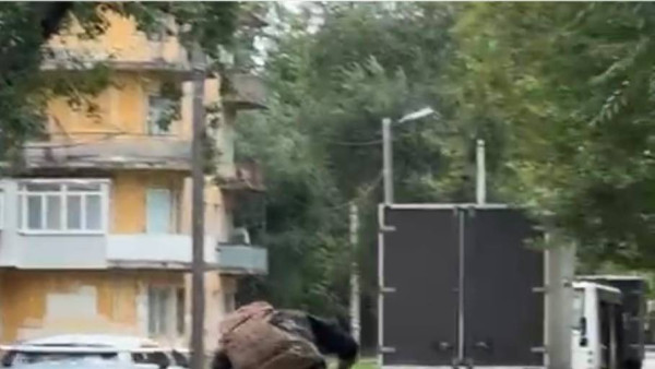 В Самаре ищут мотоциклиста, сбившего ребенка на пешеходном переходе