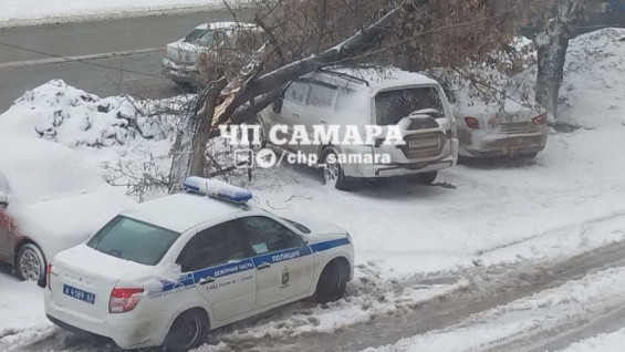 Деревья валило на машины: жители Самары делятся последствиями снежного шторма