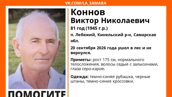 В Самарской области пропал 81‑летний мужчина в темно-синей рубашке с седыми волосами с залысинами 