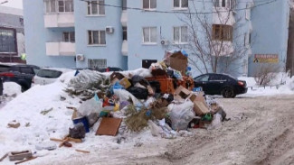 Самарцев возмутила куча мусора у легендарной голубой высотки на Московском шоссе