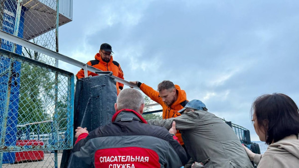 В Самаре 88-летний грибник найден на острове Поджабный