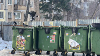 В Самарской области изменят тарифы на вывоз мусора