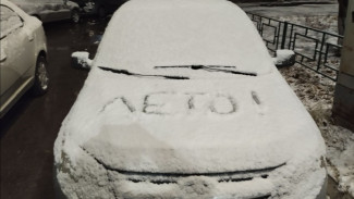 Самарскую область засыпало первым снегом 