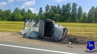 Появились кадры с места ДТП, в котором сгорела Lada Granta с водителем под Самарой