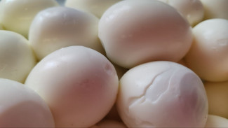 Плесень и скорлупа в омлете: после жалоб на еду прокуратура проверит самарскую гимназию