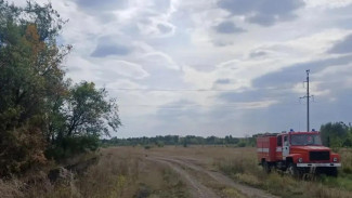 Появились кадры крупного лесного пожара 5 сентября под Самарой