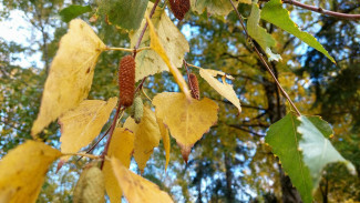 На Самару надвигается бабье лето 