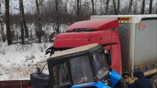 В Самарской области столкнулись трактор-снегоуборщик и большегруз