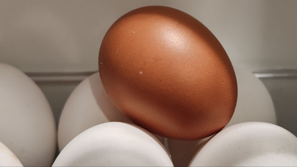 На прилавках магазинов в Самаре не обнаружили местных яиц