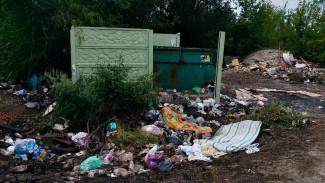 Прокуратура заставила коммунальщиков Чапаевска заняться вывозом залежей мусора