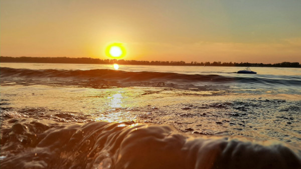 Из-за гибели рыбы в Самаре воду в Волге проверили на токсичность