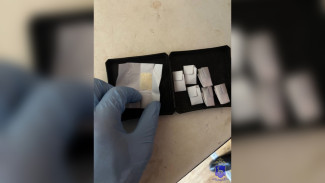 В Самарской области задержали злоумышленника в покушении на сбыт наркотиков