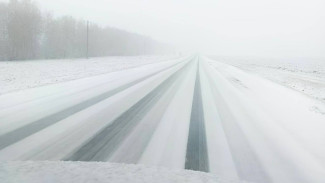 Самарскую область засыпало снегом 10 апреля