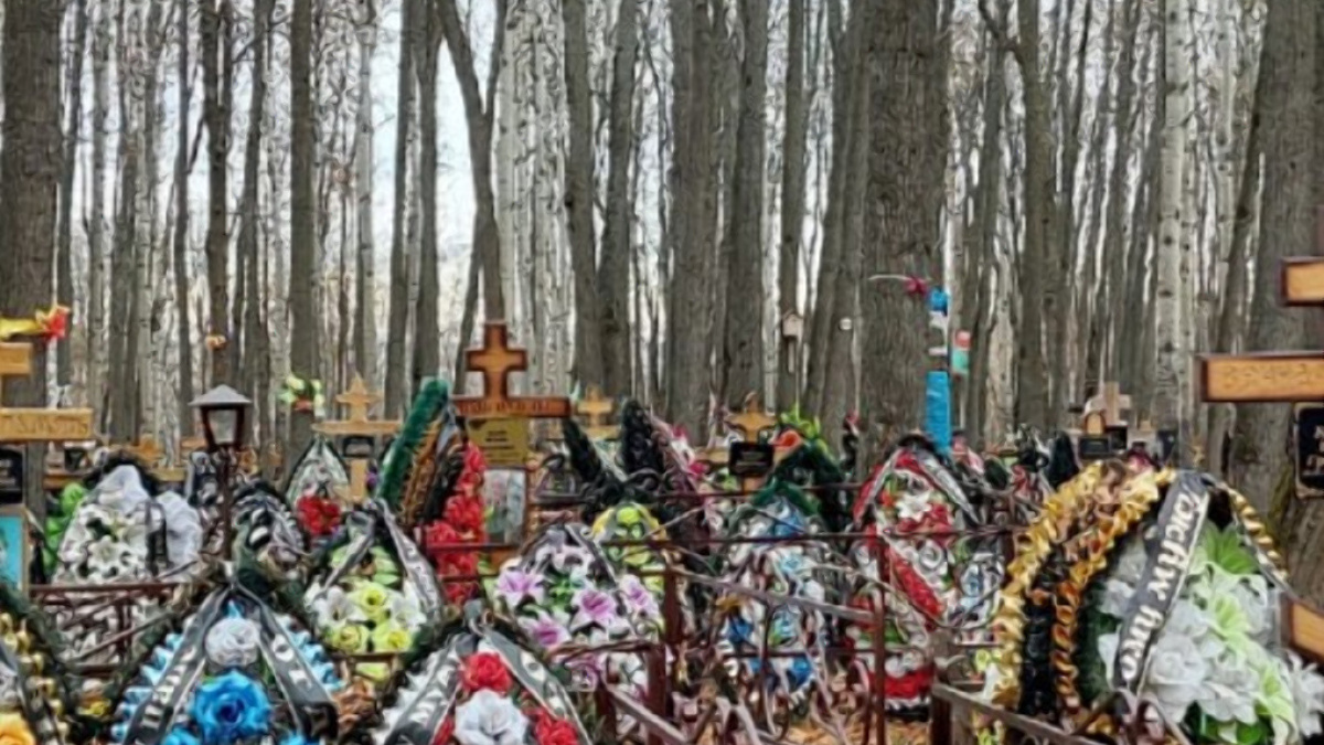 В Самаре показали кадры с кладбища, где хоронят бойцов СВО ВС РФ – Новости  Самары и Самарской области – ГТРК Самара