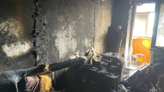 В Тольятти непотушенная сигарета унесла жизнь мужчины и его питомцев