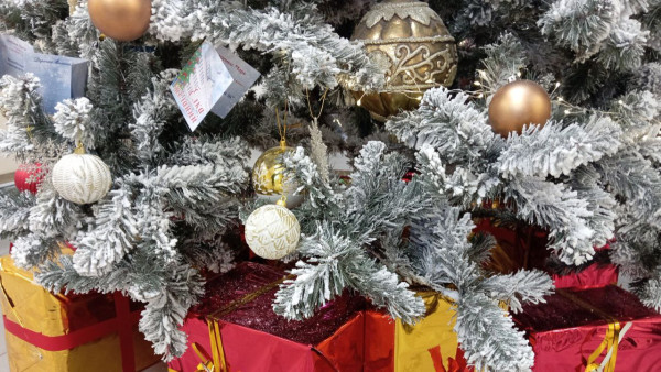 В Самаре хотят запретить ТОСам тратить бюджетные деньги на подарки и сувениры 