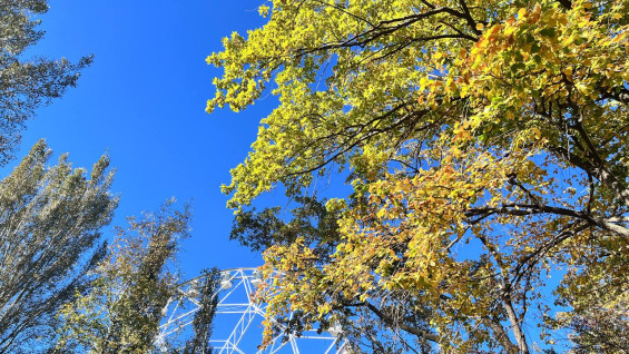 В Самаре может появиться сквер имени Николая Кириленко