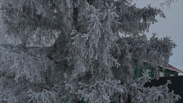 Празднуем старый Новый год, соблюдая традиции