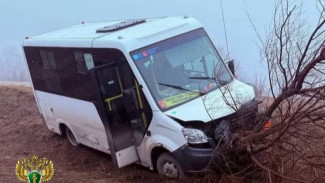 Рейсовая маршрутка съехала в кювет с 11 пассажирами в Самарской области 3 апреля