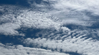 В Самарской области ожидается жара до +37 градусов