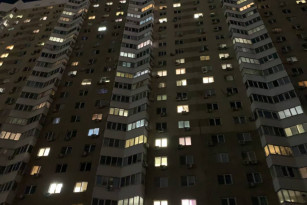 В Октябрьском районе Самары ввели временный карантин по бешенству